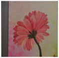 /album/fleurs/gerbera-rose-p%c3%a2le-jpg/